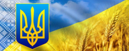 Кропивницька міська рада Департамент соціальної політики